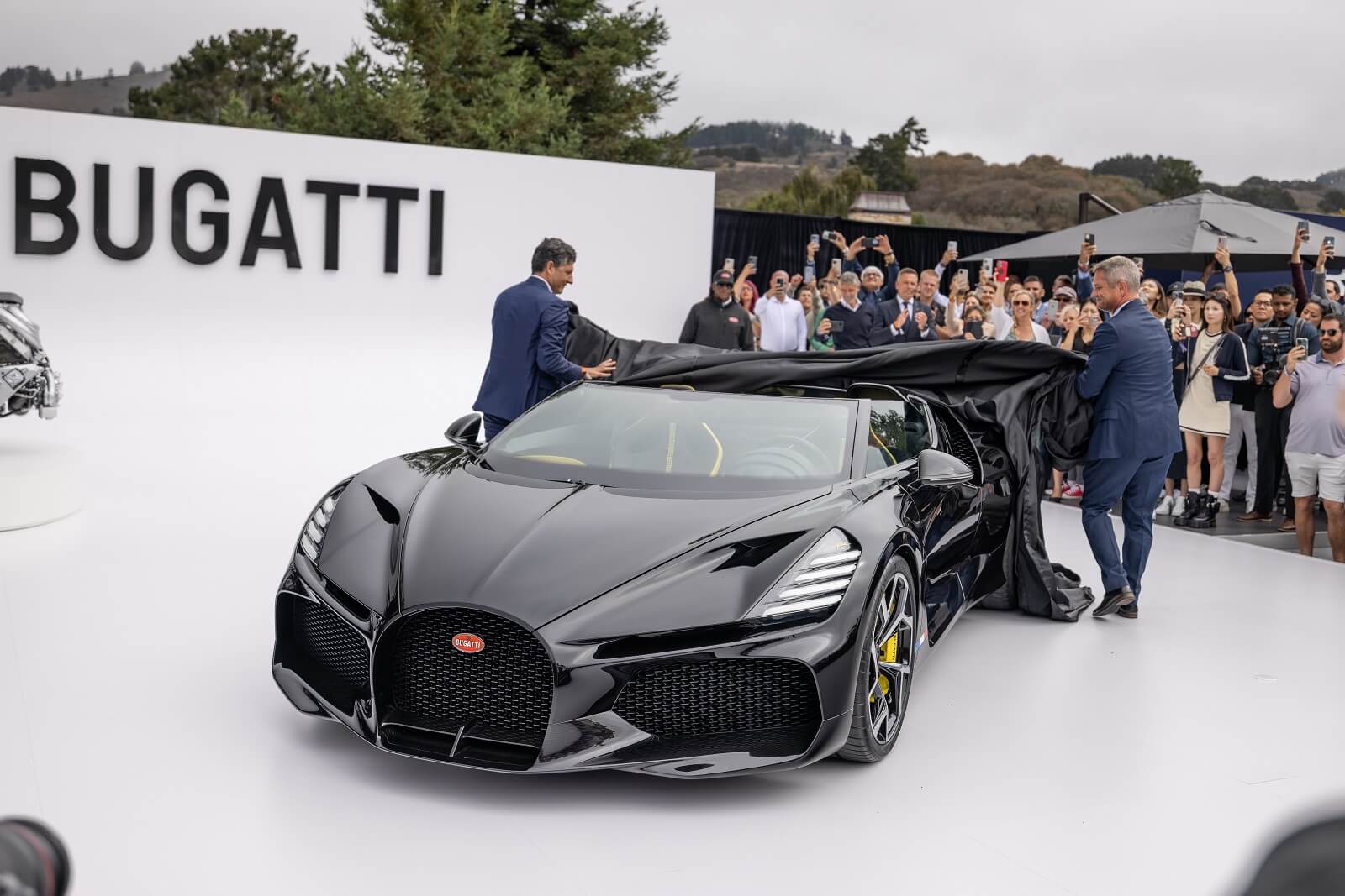 Bugatti Mistral Quail